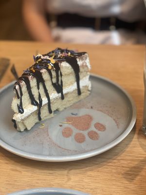 Tiramiezu   at Katzentempel - Leipzig Mitte in Leipzig