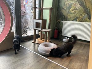   at Katzentempel - Leipzig Mitte in Leipzig