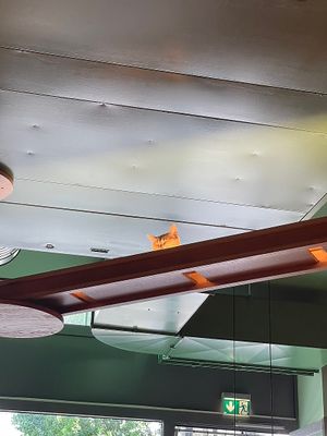   at Katzentempel - Leipzig Mitte in Leipzig