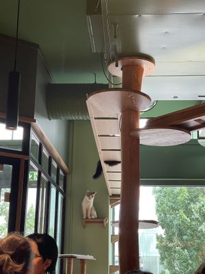   at Katzentempel - Leipzig Mitte in Leipzig