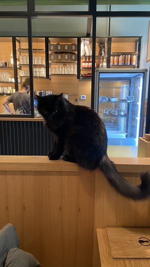   at Katzentempel - Leipzig Mitte in Leipzig