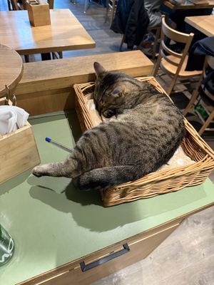   at Katzentempel - Leipzig Mitte in Leipzig