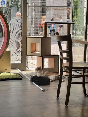   at Katzentempel - Leipzig Mitte in Leipzig