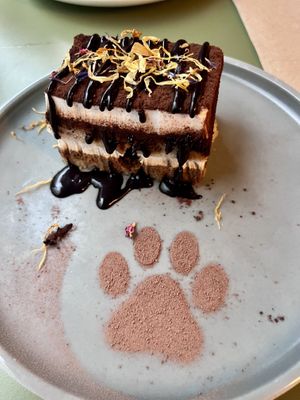 Tiramisu with chocolate drizzle   at Katzentempel - Leipzig Mitte in Leipzig
