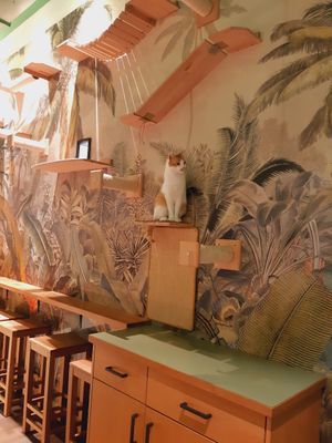  at Katzentempel - Leipzig Mitte in Leipzig