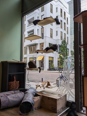  at Katzentempel - Leipzig Mitte in Leipzig