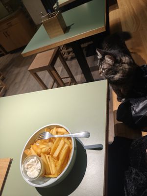  at Katzentempel - Leipzig Mitte in Leipzig