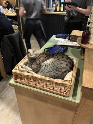   at Katzentempel - Leipzig Mitte in Leipzig