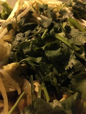 Mixed vegetables with rice at Phoenix Garden in Richmond