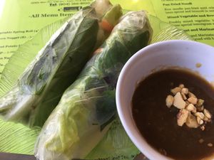 Fresh Spring Rolls
 at Phoenix Garden in Richmond