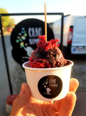 Vegan 'nero' chocolate and forest fruit sorbet at Ciao Bambino in Miloslavov