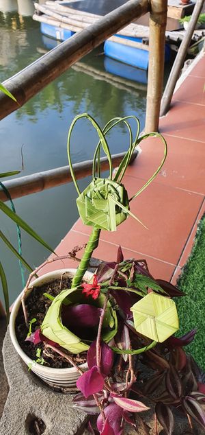  at Quoc Linh Eco Village Retreat in Hoi An