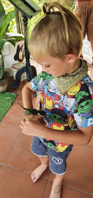 Make art by coconut leaf at Quoc Linh Eco Village Retreat in Hoi An