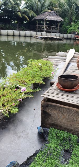  at Quoc Linh Eco Village Retreat in Hoi An