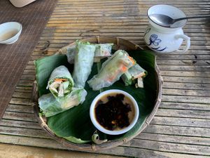 spring rolls  at Quoc Linh Eco Village Retreat in Hoi An