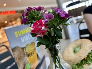   at Coffee Fellows in Halle