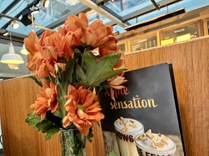 inside  at Coffee Fellows in Halle