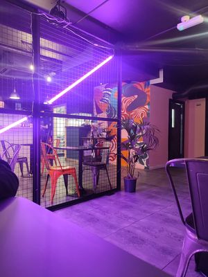  at The Saucy Cow in Dublin