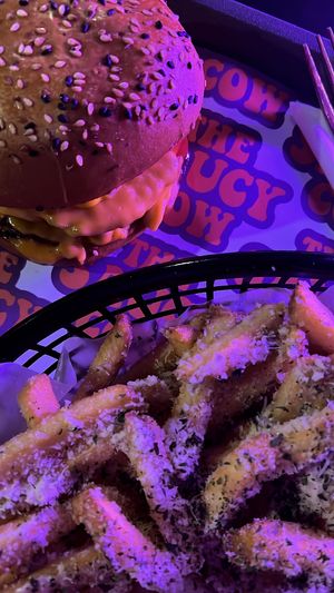   at The Saucy Cow in Dublin