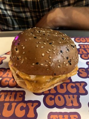   at The Saucy Cow in Dublin