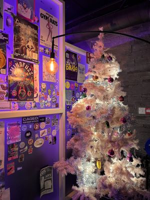   at The Saucy Cow in Dublin