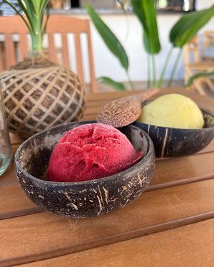 Sorbet de Mezcal & Jamaica / Sorbet de Maracuyá  at Palmar in Chacala