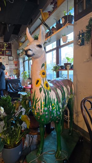  at Mae Mae Café in Bronx