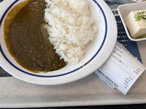 Vegan curry and cold tofu as a side!  at Cafeteria Wakaba - University of Tokyo in Tokyo