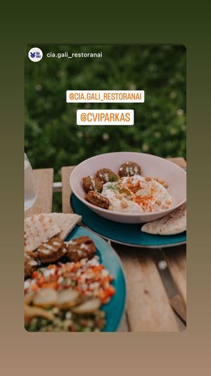  at Cvi Parkas in Vilnius