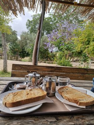 Desayuno con morcilla y manteca colora vegana at Miel Rancho Cortesano in Jerez