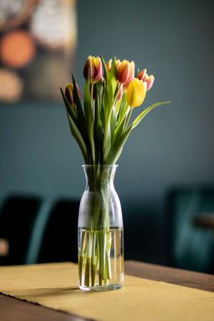 Zielone wnętrze at Strąk Man in Banino