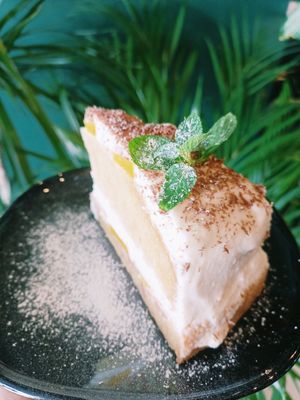 Torcik brzoskwiniowy at Strąk Man in Banino