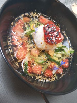 Starter at Lento in Antwerpen