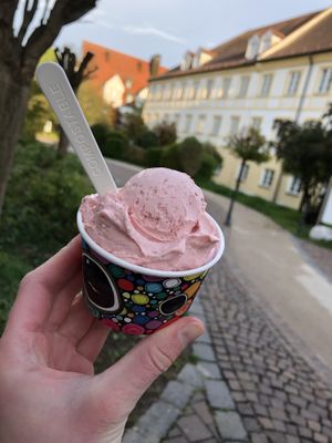 Erdbeere (vegan)  at Eiscafe Da Sandro in Freising