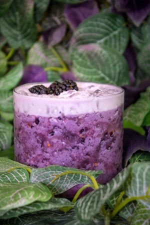 Poisson at Zoni Restaurant in West New York