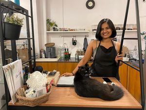 Boots the cat  at Rose & Joe  in Mumbai