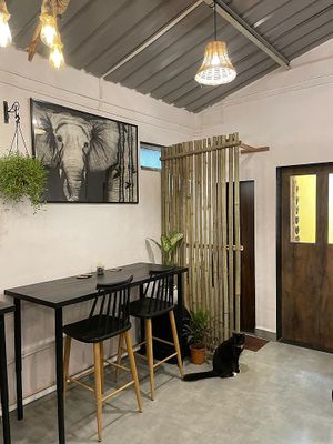 Entry  at Rose & Joe  in Mumbai