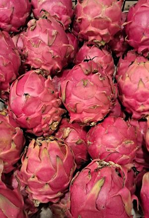  at Rose & Joe  in Mumbai