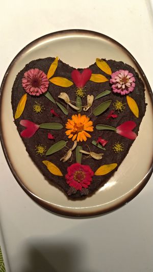 raw, vegan, gluten free, sugar free cake! carrot, coconut and vegantella at Tâmaras e Cacau in Nisa