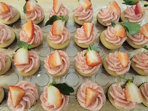 Minis! Vanilla with Strawberry Filling and Strawberry Buttercream Frosting  at Cupcake Therapy in Brookline