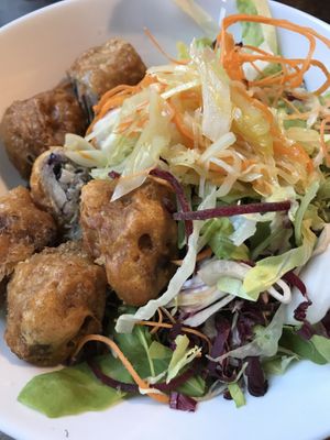 42  at Vegan 1983 in Erfurt