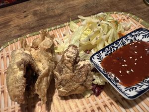 wan tans  at Vegan 1983 in Erfurt