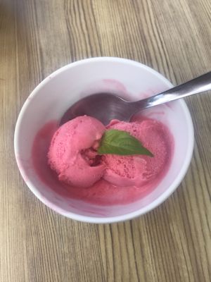 Dessert (blackberry ice cream)  at La Tarara de Guaso in Huesca