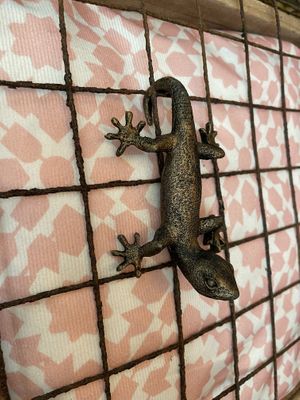   at VIBE Plant Based Cafe & Restaurant in Douglas