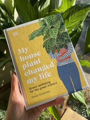   at VIBE Plant Based Cafe & Restaurant in Douglas