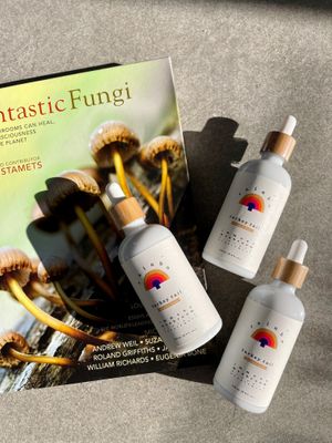 Functional Mushrooms! Available as retail or to add in any drink! at High Vibes Juicery in Park City