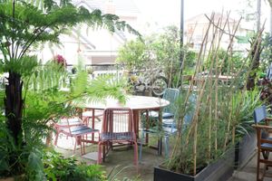 This is the look from inside to the front yard at Moto Laurie in Da Lat