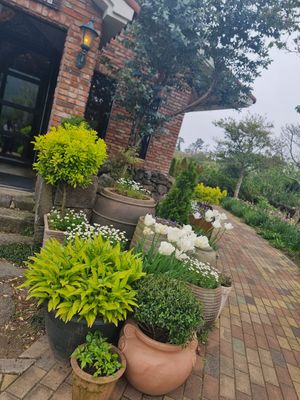  at Indian Kitchen in Jeju