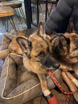   at The Artful Duke in Bromley