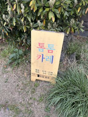   at Tom Tom Curry in Jeju